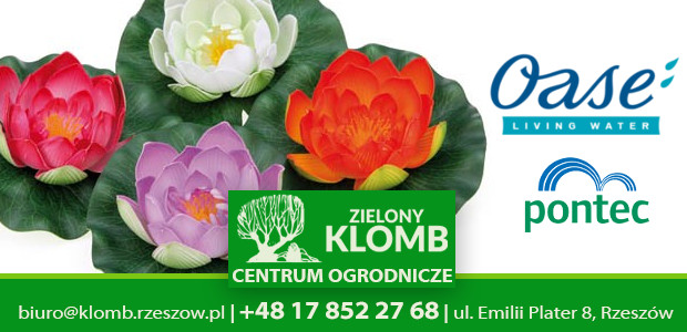 Kwiaty do oczka wodnego